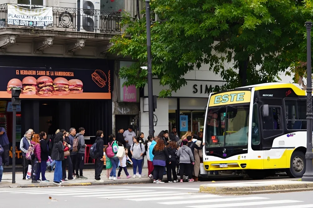 colectivos (2)